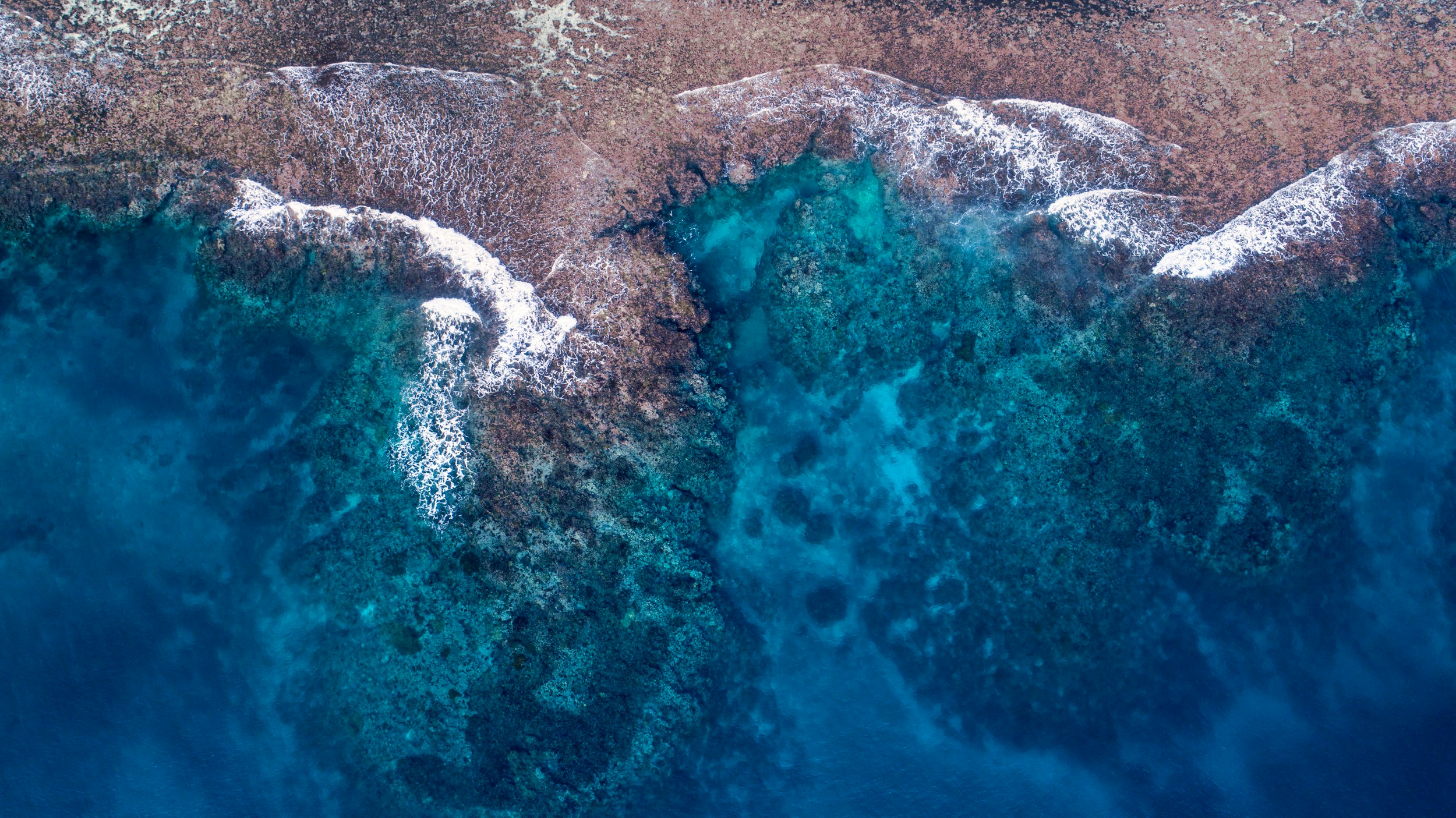 Preview: Impact of Premium Flyer Levies in SIDS and LDCs